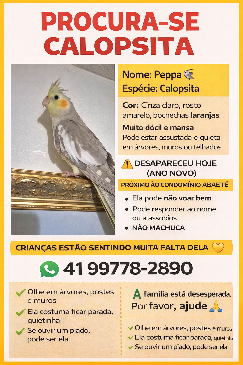 Minha calopsita ‘Peppa’ fugiu e foi vista em árvore, estou tentando trazê-la de volta mas ela voou. Cor predominante: Cinza Rosto: Amarelo Bochechas: Laranjas Crista: Amarela Tamanho: Pequeno / médio Idade aproximada: cerca de 4 meses Pode estar assustada quieta ou piando baixo