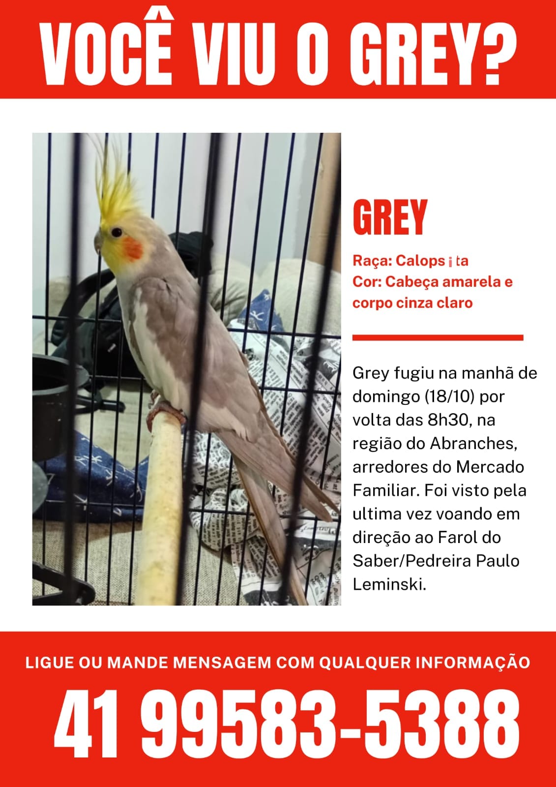 Perdida pássara, Rua Theodoro...