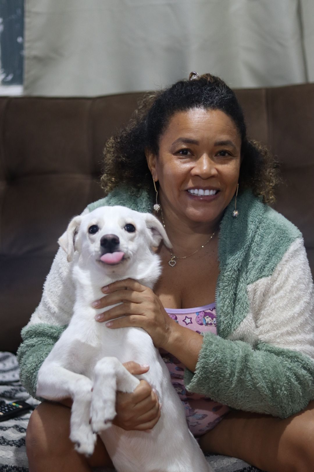 cachorro desaparecida